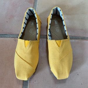 Toms Yellow